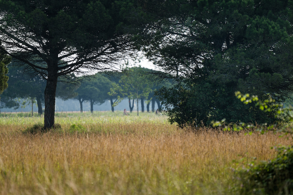 <b>Lino delle Fate:</b> un weekend nel bosco, tra mare, bicicletta e natura a Bibione
