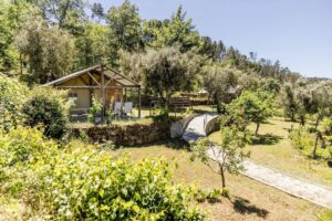 yoga tra i filari